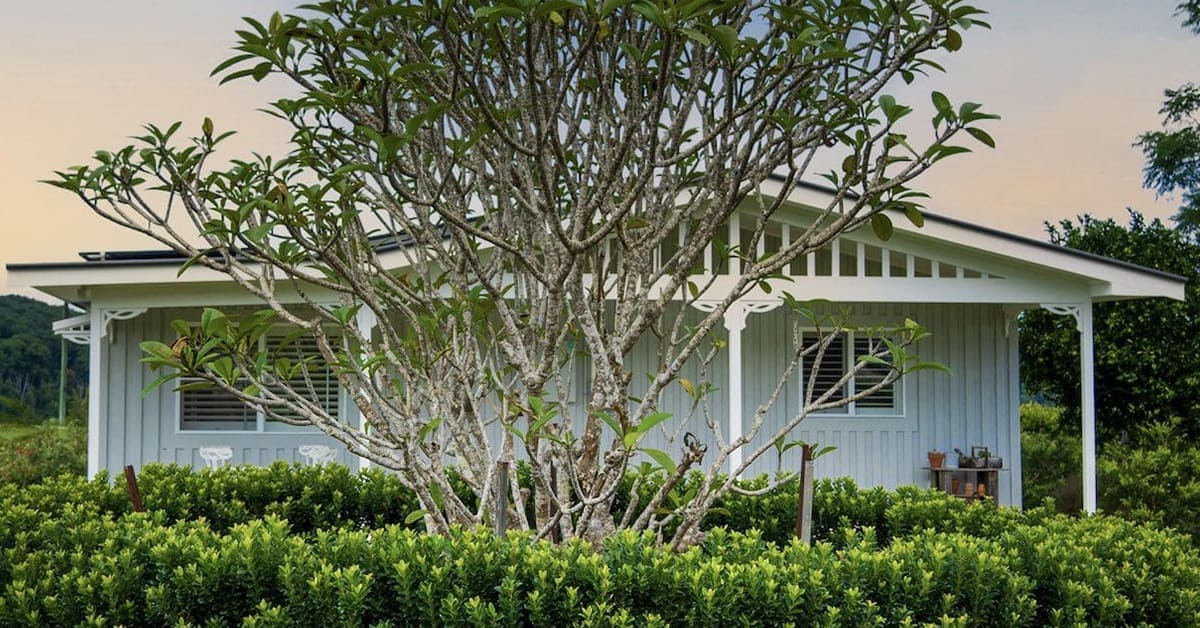 heartwood farm with a tree in front